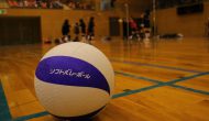 img_softvolleyball