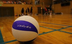 img_softvolleyball