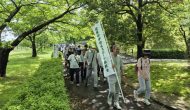 ふれあいウォーキング2025